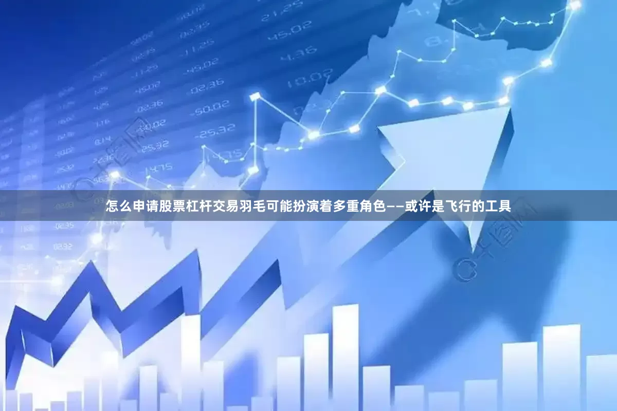 怎么申请股票杠杆交易羽毛可能扮演着多重角色——或许是飞行的工具