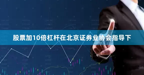 股票加10倍杠杆在北京证券业协会指导下