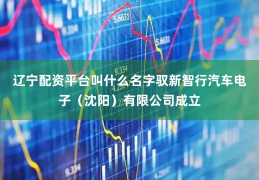 辽宁配资平台叫什么名字驭新智行汽车电子（沈阳）有限公司成立