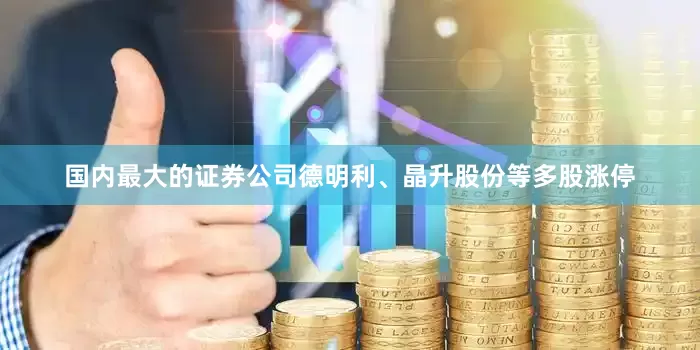 国内最大的证券公司德明利、晶升股份等多股涨停