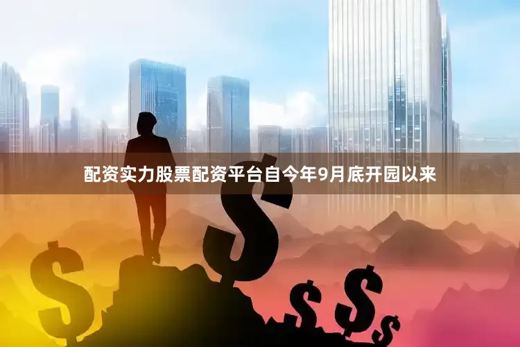 配资实力股票配资平台自今年9月底开园以来